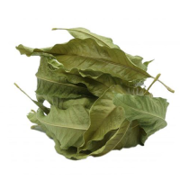 Dried mango leaves