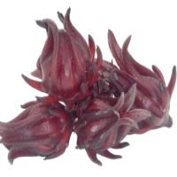 Roselle flowers